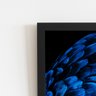 Arara Penas Azuis Asas Aves Quadro Moldura Preta 60x40cm - 2
