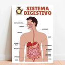 Ver imagem 1 de Placa Educacional Sistema Digestivo - 40x60cm