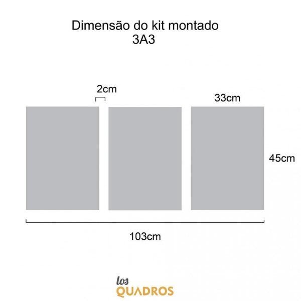 Conjunto 3 Quadros Decorativos Nossa Senhora Aparecida Los Quadros - 3