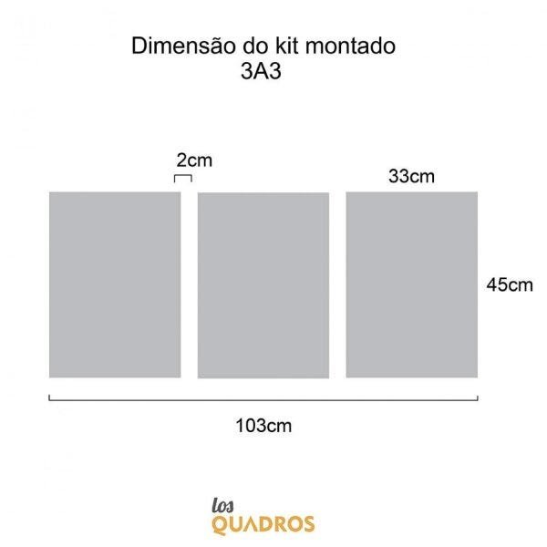 Conjunto 3 Quadros Decorativos Coroa De Espinhos Los Quadros - 3