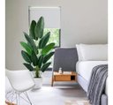 Ver imagem 1 de Planta Artificial Bananeira Viajante Real Toque com 1.80m