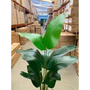 Ver imagem 7 de Planta Artificial Bananeira Viajante Real Toque com 1.80m