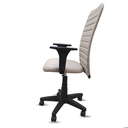 Ver imagem 6 de Cadeira Ergonômica Presidente Bege Executiva Home Office Nr17 Pistão a Gás Estofada