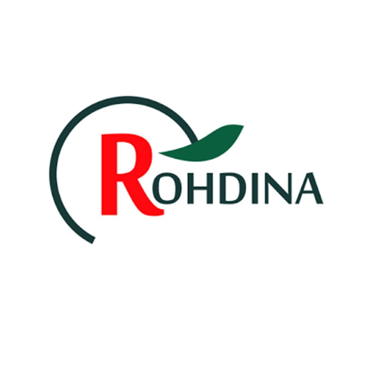 Caixa Rohdbox 250x200x130mm Cinza Tampa Opaca IP66 Standard Rohdina - 4