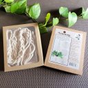 Ver imagem 3 de Suporte de Plantas em Macramê - Modelo: Tor-g