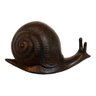 Caracol De Resina Pintada Para Decoração - 1