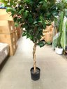 Ver imagem 5 de Árvore Artificial Realista Toque Real para Decoração 1.60m, Plantas Artificiais.