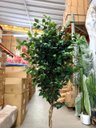 Ver imagem 4 de Árvore Artificial Realista Toque Real para Decoração 1.60m, Plantas Artificiais.