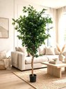 Ver imagem 1 de Árvore Artificial Realista Toque Real para Decoração 1.60m, Plantas Artificiais.