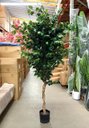 Ver imagem 2 de Árvore Artificial Realista Toque Real para Decoração 1.60m, Plantas Artificiais.