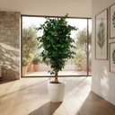 Ver imagem 7 de Árvore Artificial Realista Toque Real para Decoração 1.60m, Plantas Artificiais.