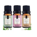 Ver imagem 1 de Kit 3 Essencias Via Aroma para Aromatizador Difusor Eletrico10ml (bamboo+lavanda Francesa+vanilla)