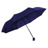 Guarda Chuva Sombrinha Vinho Plus Tianqi N226255-2 - Quanhe - 2