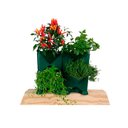 Ver imagem 2 de Jardim Vertical | Horta | Floreira