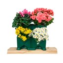 Ver imagem 1 de Jardim Vertical | Horta | Floreira