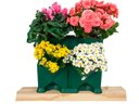 Ver imagem 1 de Jardim Vertical | Horta | Floreira
