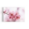 Quadro Flores de Cerejeira Rosa Sakura Foto Canvas 140x90cm - 1