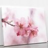 Quadro Flores de Cerejeira Rosa Sakura Foto Canvas 140x90cm - 2