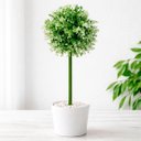 Ver imagem 1 de Buchinho Bucho Grama Decoração Jardim Planta Artificial 80cm