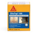 Ver imagem 1 de Sika Top 100 4kg - Sika