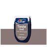 TINTA TESTE FÁCIL 30ML VIDRO ESFUMAÇADO (MARROM) CORAL - 1