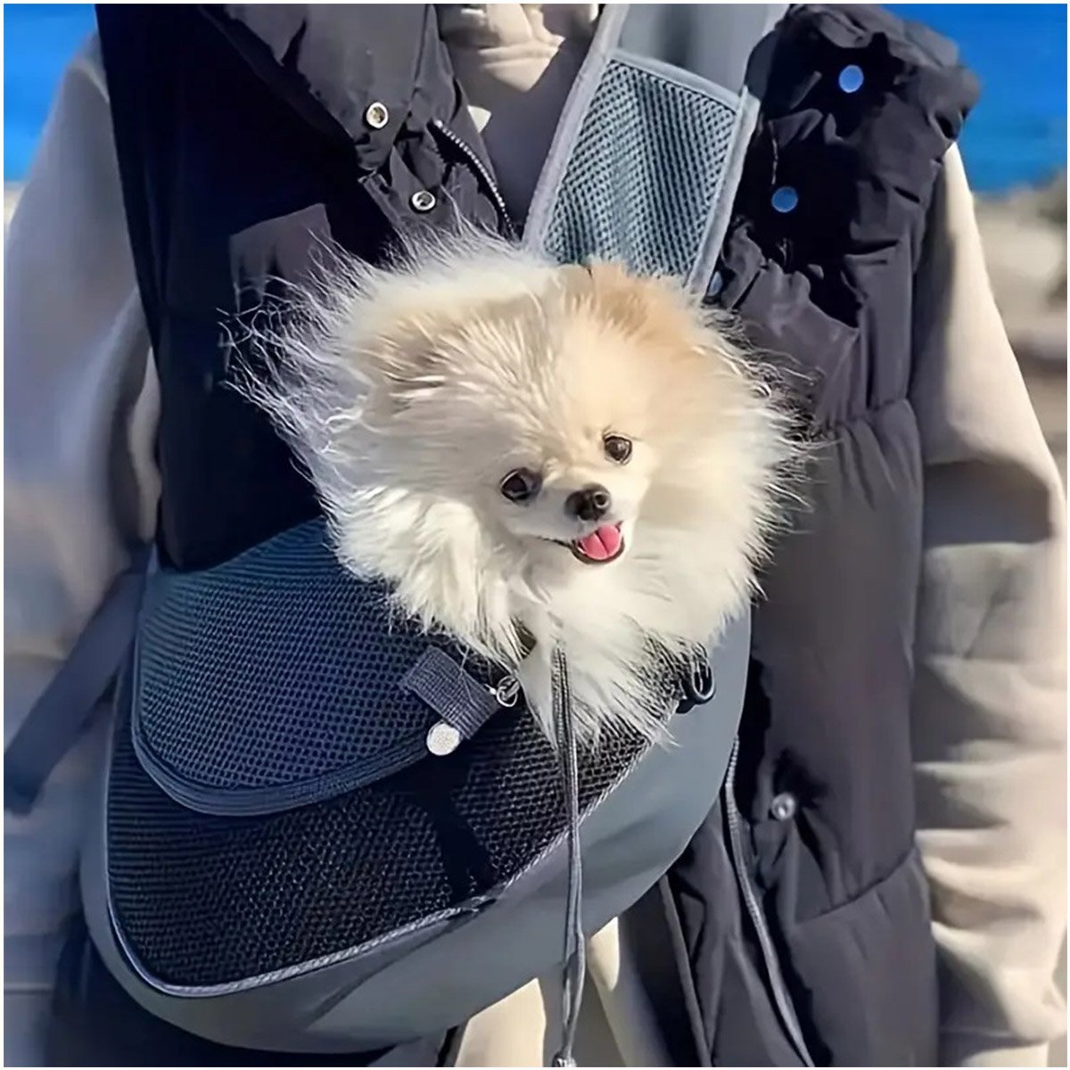 Bolsa Cachorro Gato Cao Pet Canguru Animal de Estimaçao Pequeno Porte Transporte Mochila Ombro Costa - 11