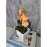 Arranjo De Mini Orquídea Laranja Vaso Branco Quadrado - 2