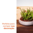Ver imagem 4 de Vaso Bacia Safira Pedra 10 Terrano