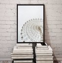 Ver imagem 2 de Quadro Decorativo Fotografia Branca Roda Gigante 24x18cm - com Vidro:madeira Preta