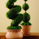 Ver imagem 7 de Tinta Spray Efeito Pedra Stone Cor Bege Siena Rust Oleum