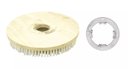 Ver imagem 1 de Escova Para TAPETES E CARPETES 350 mm COM Flange Para Enceradeira CERTEC, Mebal, Lemarte Entre Outra