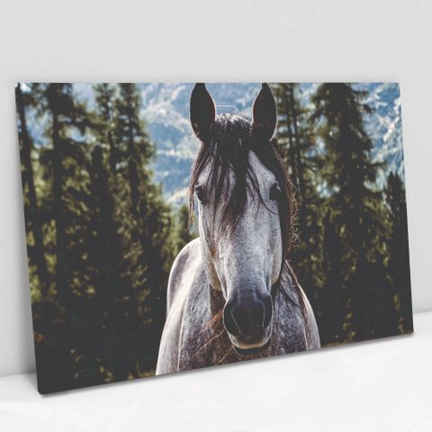 Quadro Decorativo em Canvas Cavalo - Moldura Madeira - 120 x 80cm