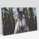 Ver imagem 1 de Quadro Decorativo em Canvas Cavalo - Moldura Madeira - 120 x 80cm