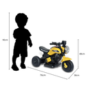 Ver imagem 4 de Mini Moto Elétrica Triciclo Infantil Zyppy 6v com Som e Música