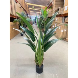 Bananeira Viajante Ravalena Planta Permanente Real Toque 1.20m - 3