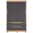 Ver imagem 2 de Guarda Roupa Casal 136cm 2 Portas Solare Freijó/Titanium a02 - Mpozenato