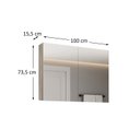 Ver imagem 4 de Espelheira para Banheiro 2 Portas 3 Prateleiras Cinza/Barrique/Argento