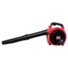 Soprador Aspirador e Triturador de Folhas a Gasolina 25.4cc 3 em 1 - 10