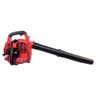 Soprador Aspirador e Triturador de Folhas a Gasolina 25.4cc 3 em 1 - 11