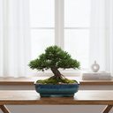 Ver imagem 3 de Vaso Cerâmica Esmaltado Bonsai (20) Azul com Preto Burguina