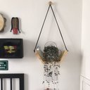 Ver imagem 6 de Prateleiras Semi Colmeia - Kit com 2 CASA 67 Prateleira Colmeia