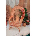 Ver imagem 2 de Cadeira Pavão