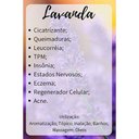 Ver imagem 2 de Kit 3 Unidads - Óleo Essêncial para Aromaterapia - Lavanda, Limão e Melaleuca (Tea Tree).