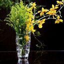 Ver imagem 4 de Vaso Decorativo Cachepô 19x9x9cm Vidro Transparente