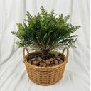 Ver mais imagens de Kit de 7 Mini Buquê Samambaia Artificial 35cm para Decoração, Paisagismo e Arranjos Florais