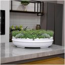Ver imagem 5 de Vaso Bacia Decorativo Osaka Branco G 16x65x52 Cm