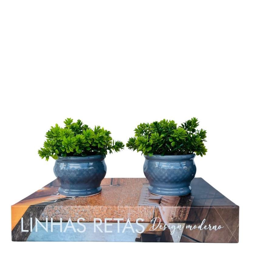 Livro caixa decorativo porta objetos e dupla vaso cachepô