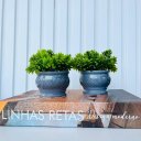 Ver imagem 4 de Livro caixa decorativo porta objetos e dupla vaso cachepô