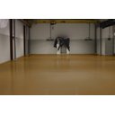 Ver imagem 3 de Cor Sólida Bege Marrom Ag - Ral1011