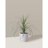 Vaso Cachepô de Cerâmica para Plantas Branco MED - 5